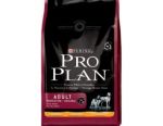 pro plan