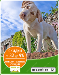 Купить корм для кошек