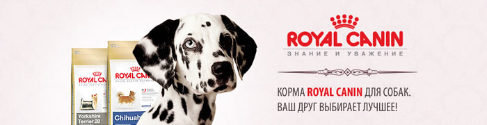 Хавах