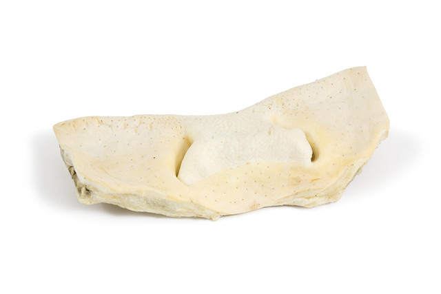 TiTBiT Нос говяжий бабочка - мягкая упаковка