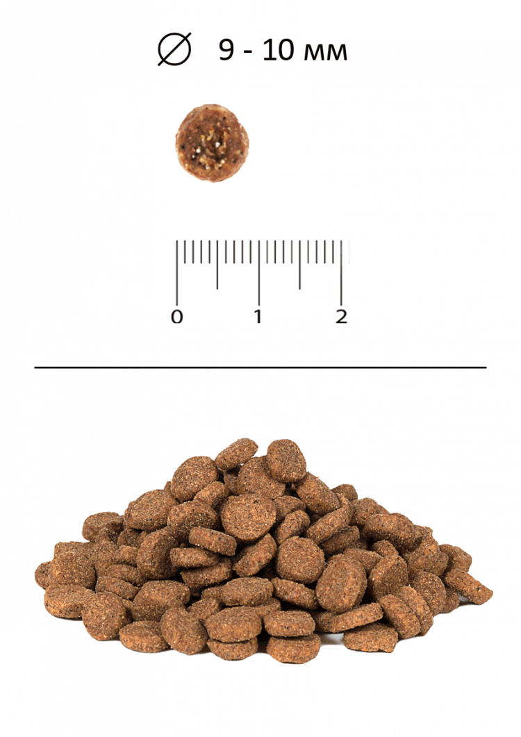 Blitz Sensitive Сухой корм для стерилизованных кошек с индейкой, Turkey Adult Sterilised Cat All Breeds