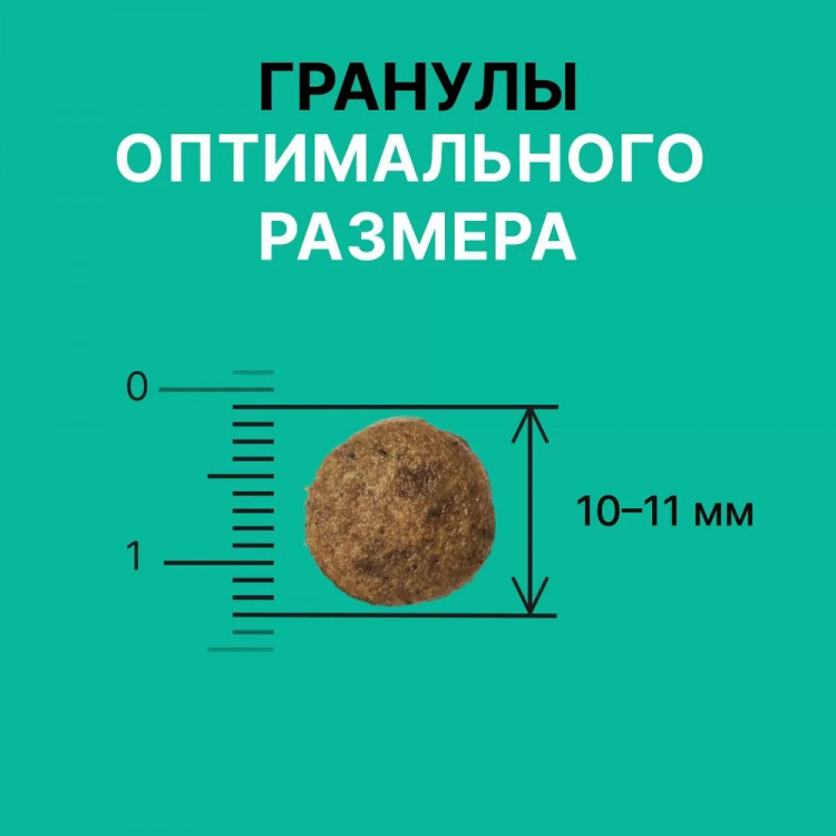 Сухой корм NERO GOLD super premium для собак и щенков всех возрастов с мясом индейки и овощами, DIGESTION