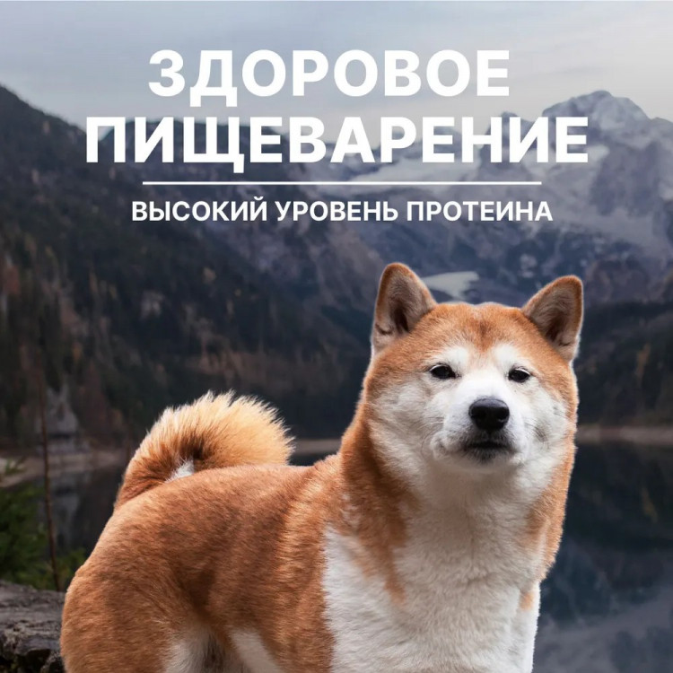 Сухой корм NERO GOLD super premium для собак и щенков всех возрастов с мясом индейки и овощами, DIGESTION