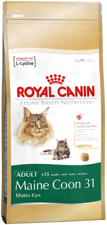 Royal canin maine coon 10 kg sales