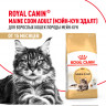 Сухой корм Royal Canin Maine Coon Adult для взрослых кошек породы Мэйн Кун