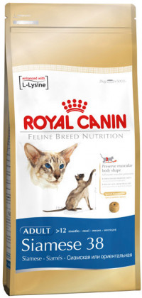 Royal Canin &quot;Siamese 38&quot;