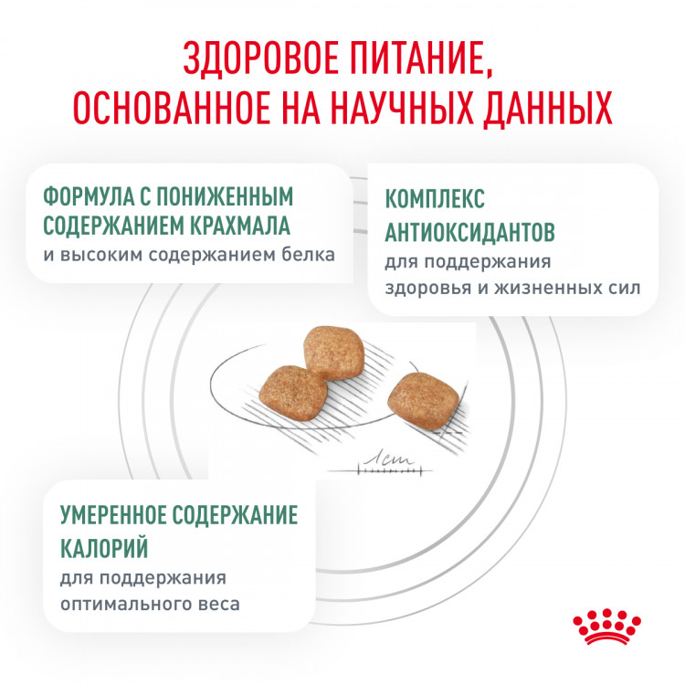 Сухой корм Royal Canin Diabetic для кошек при сахарном диабете