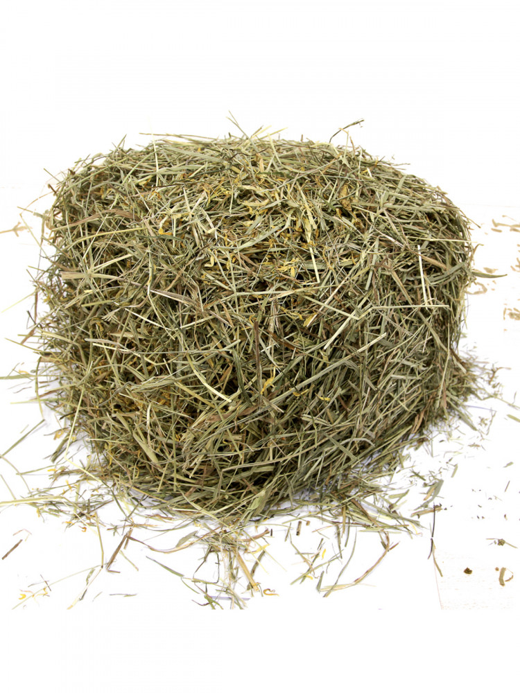 FIORY сено Альпийское Alpiland Yellow с одуванчиком