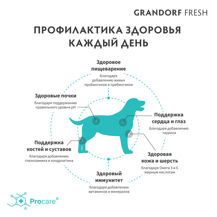 Сухой корм GRANDORF Fresh, свежее филе лосося с бататом для собак средних и крупных пород