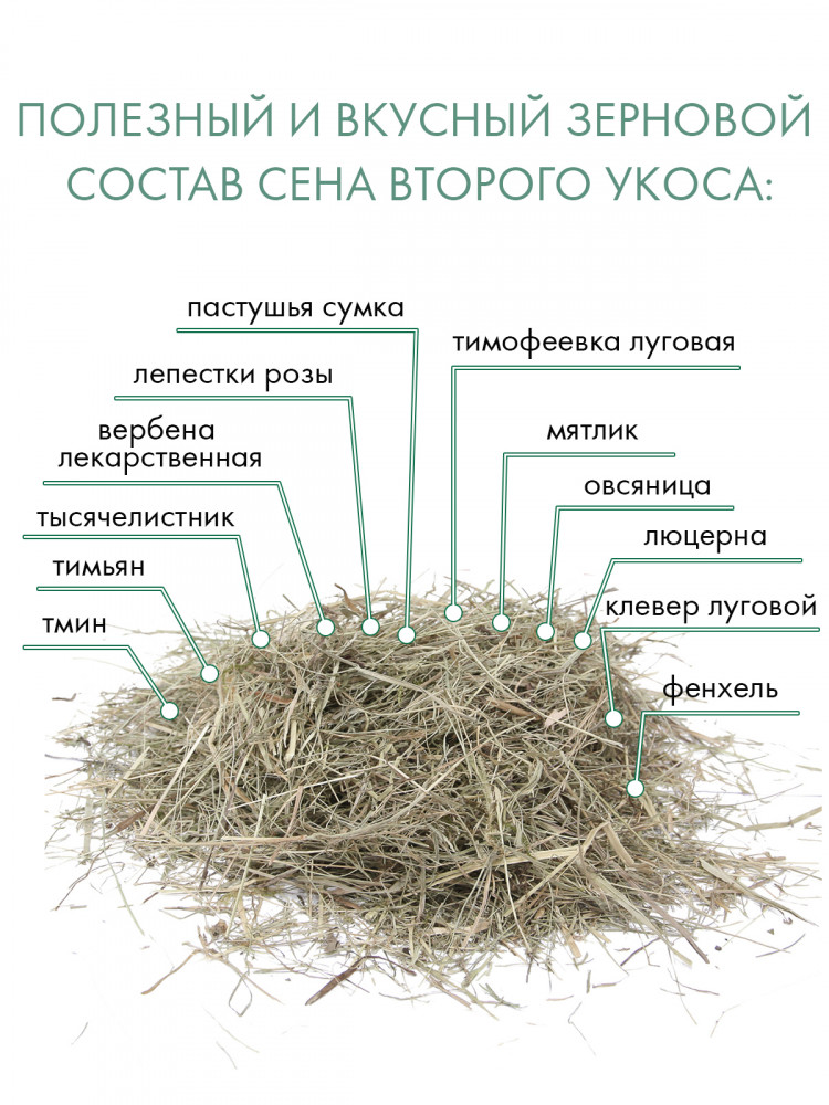 FIORY сено Evergreen