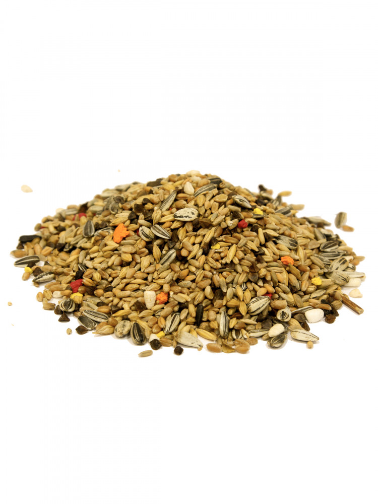 FIORY корм для хомяков Classic