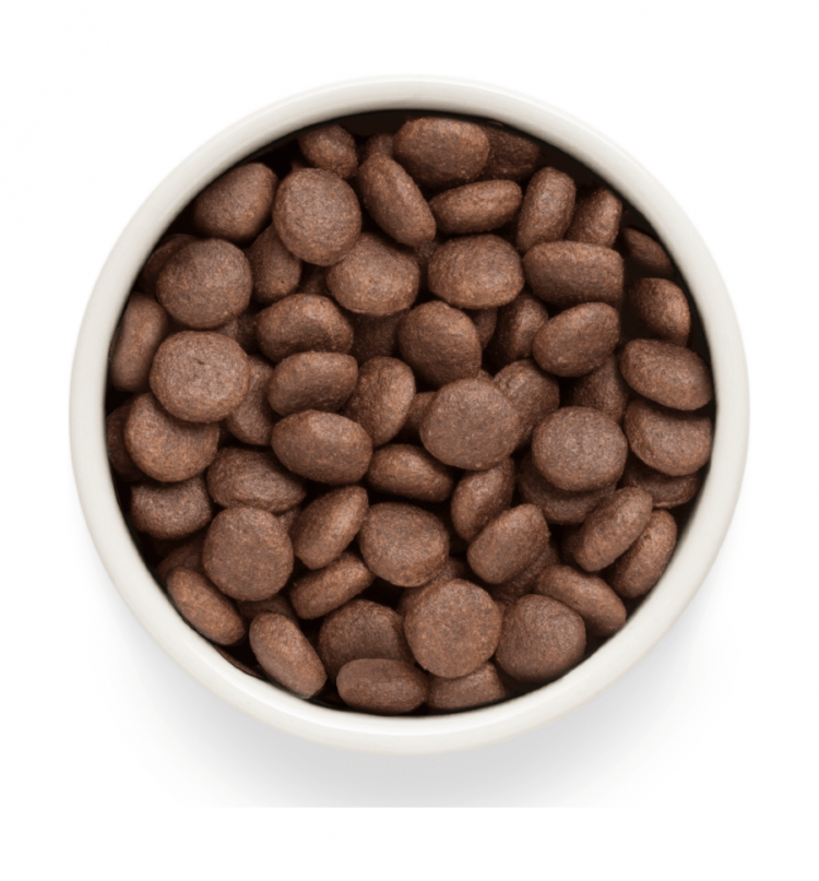 GRANDORF Fresh Dog Adult MAXI Lamb&Sweet Potato (Свежее мясо ягненка с бататом для собак крупных пород)