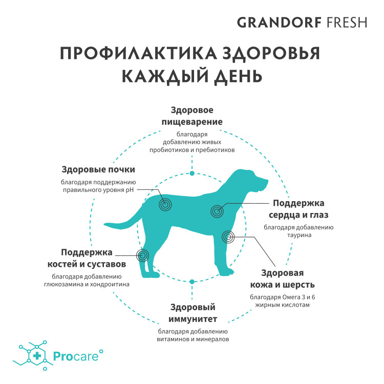 GRANDORF Fresh Dog Adult MAXI Lamb&Sweet Potato (Свежее мясо ягненка с бататом для собак крупных пород)