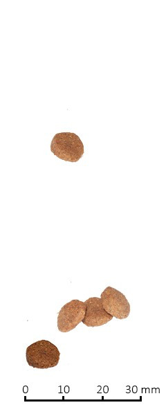 Farmina Vet Life Cat Gastro-Intestinal для кошек при воспалительных заболеваниях ЖКТ; период восстановления