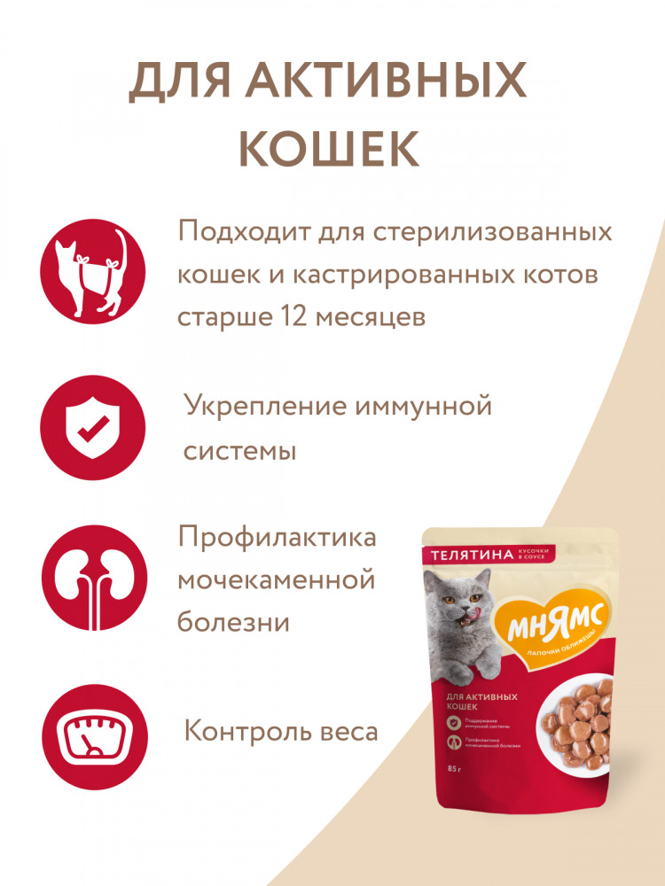 Влажный корм Мнямс На каждый день Кусочки в соусе с телятиной для активных кошек (упаковка 24 шт по 85 гр)