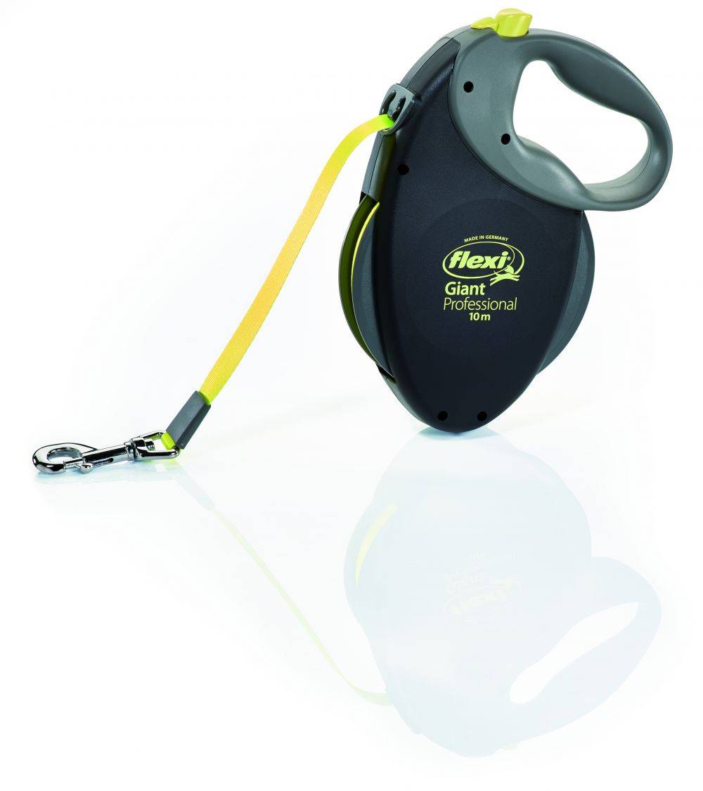Flexi giant neon cheap
