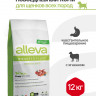 Alleva Equilibrium Sensitive Lamb Puppy Mini Medium сухой корм для щенков мелких и средних пород Сенситив с ягненком