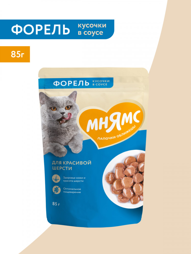 Влажный корм Мнямс На каждый день Кусочки в соусе с форелью для красивой шерсти кошек (упаковка 24 шт по 85 гр)