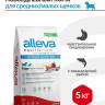 Alleva Equilibrium Sensitive Ocean Fish Puppy All Breeds сухой корм для щенков всех пород с океанической рыбой