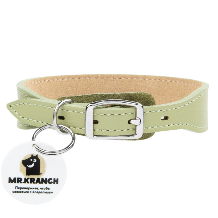 Ошейник Mr.Kranch для собак из натуральной кожи с QR-адресником 33-40см нежно-зеленый