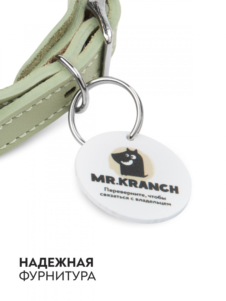 Ошейник Mr.Kranch для собак из натуральной кожи с QR-адресником 33-40см нежно-зеленый