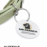 Ошейник Mr.Kranch для собак из натуральной кожи с QR-адресником 33-40см нежно-зеленый
