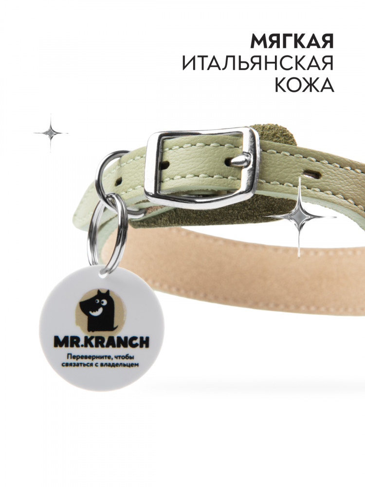 Ошейник Mr.Kranch для собак из натуральной кожи с QR-адресником 33-40см нежно-зеленый