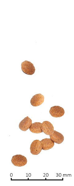 Farmina Vet Life Cat Struvite Management для кошек, рецидивы мочекаменной болезни; идиопатический цистит