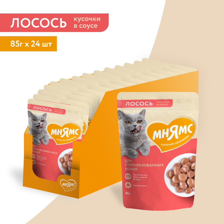 Влажный корм Мнямс На каждый день Кусочки в соусе с лососем для стерилизованных кошек (упаковка 24 шт по 85 гр)