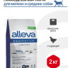 Alleva Equilibrium Weight Control Adult Mini/Medium сухой корм для взрослых собак мелких и средних пород для контроля веса