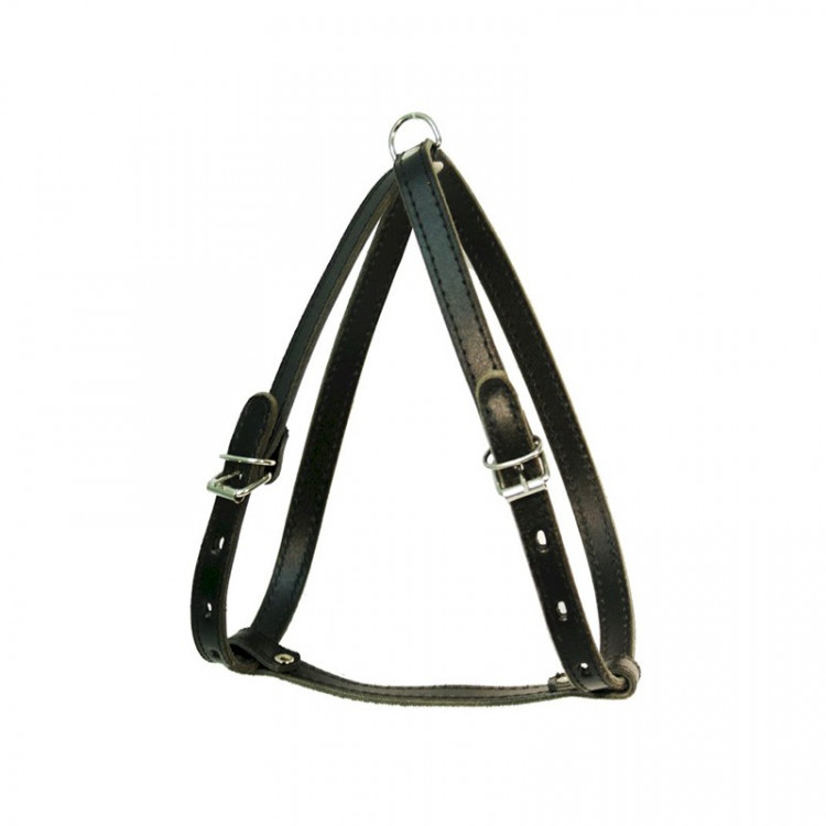 Зооэкспресс шлейка 2 слоя 14 мм до 55 см