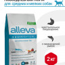 Alleva Equilibrium Sensitive Ocean Fish Adult Mini/Medium сухой корм для взрослых собак мелких и средних пород с океанической рыбой