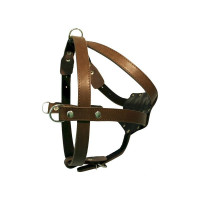 Зооэкспресс шлейка 1 слой 26 мм до 100 см фетр