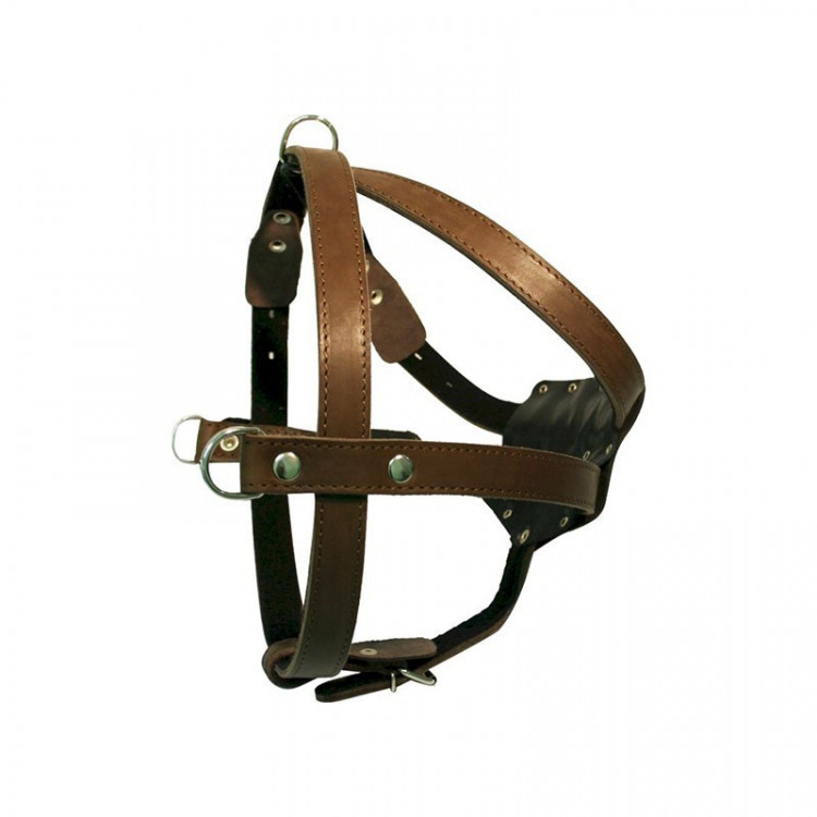 Зооэкспресс шлейка 1 слой 26 мм до 100 см фетр