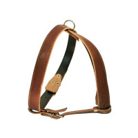 Зооэкспресс шлейка 2 слоя 36 мм до 100 см