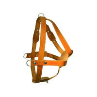 Зооэкспресс шлейка 1 слой 26 мм до 100 см