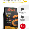 Alleva Natural Adult Chicken & Pumpkin Maxi сухой корм для взрослых собак с курицей и тыквой