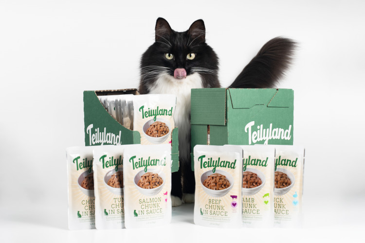 Влажный корм для кошек Петтрик, Pettric TEILYLAND паучи с курицей в соусе (упаковка 12 шт по 85 г)