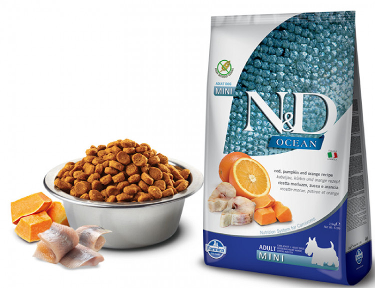 Farmina N&D OCEAN PUMPKIN MINI для собак мелких пород треска c апельcином и тыквой