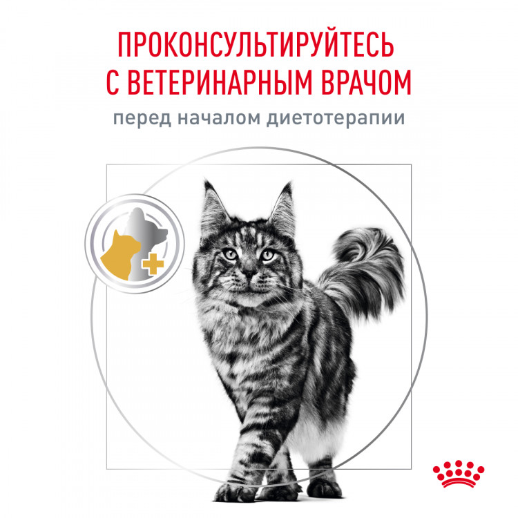 Сухой корм Royal Canin URINARY S/O MODERATE CALORIE для кошек, склонных к набору веса, при мочекаменной болезни