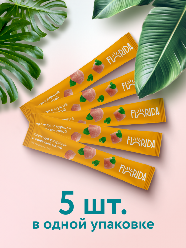 FLORIDA лакомства Крем-суп для котят и кошек для повышения аппетита и интереса к корму с курицей и кошачьей мятой