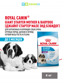 Сухой корм Royal Canin Giant Starter для щенков очень крупных размеров до 2 месяцев, беременных и кормящих сук