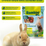 Корм Bambini Pets для кроликов