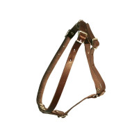 Зооэкспресс шлейка 1 слоя 14 мм до 65 см