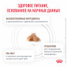 Сухой корм Royal Canin GASTROINTESTINAL FIBRE RESPONSE для кошек при запорах