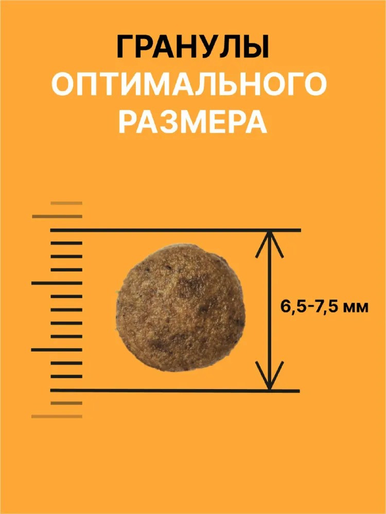 Сухой корм NERO GOLD для кошек и котят всех возрастов с мясом курицы и овощами, HEALTHY HEART