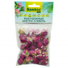 Лакомство Bambini Pets высушенные цветы клевера для грызунов и кроликов