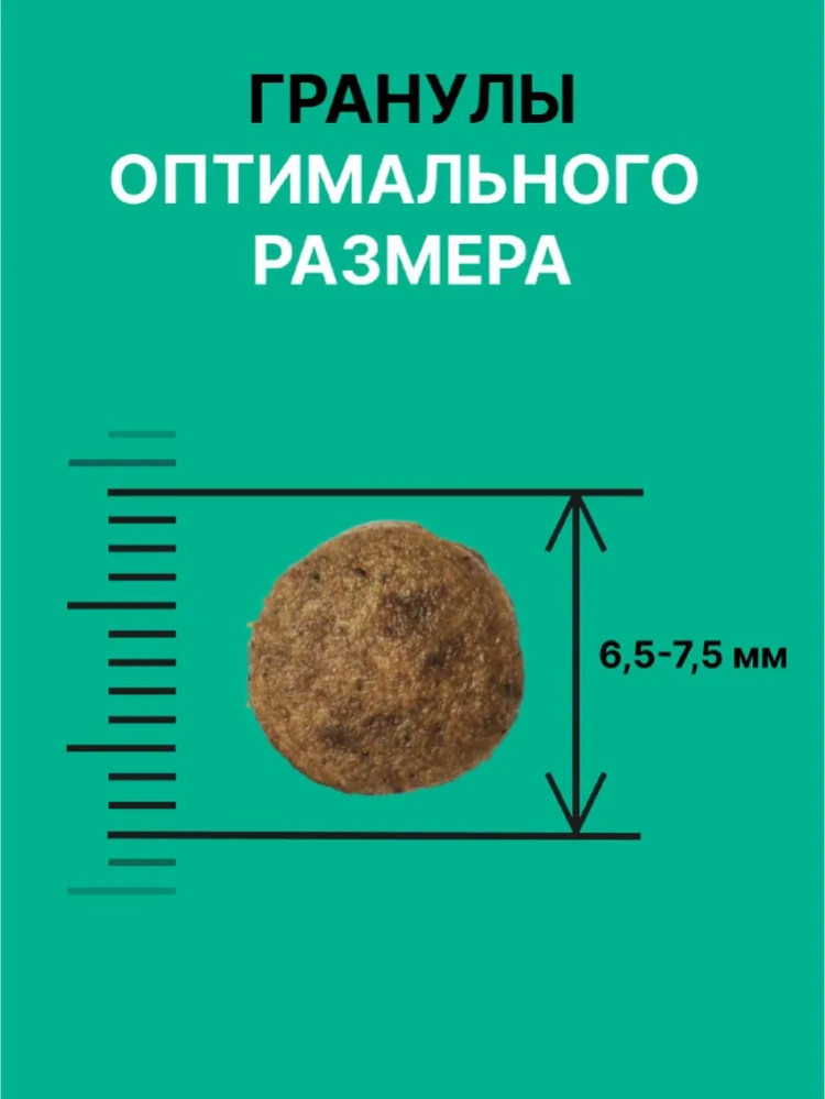 Сухой корм NERO GOLD для стерилизованных кошек и котят с мясом индейки и овощами, Sterilised, Turkey, LOW FAT