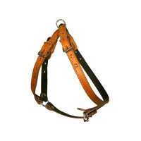 Зооэкспресс шлейка 2 слоя 18 мм до 75 см