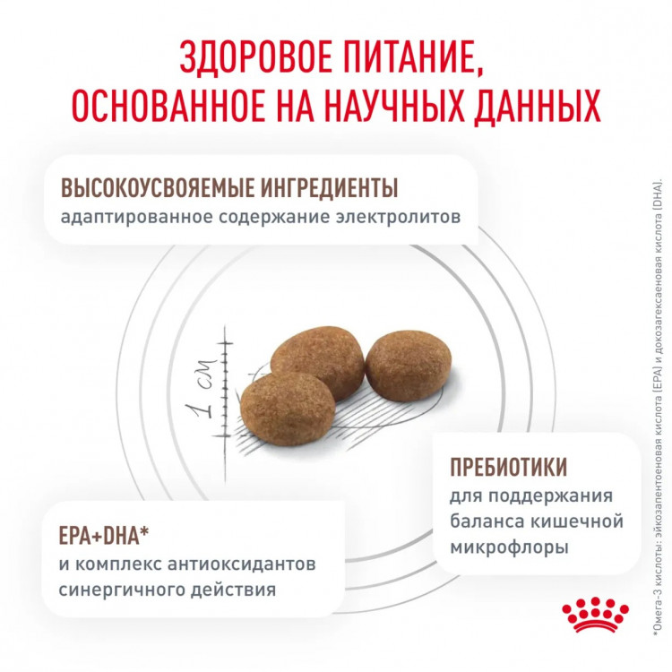 Сухой корм Royal Canin GASTROINTESTINAL HAIRBALL для кошек для профилактики образования волосяных комочков